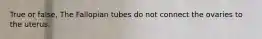 True or false, The Fallopian tubes do not connect the ovaries to the uterus.