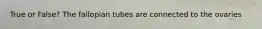 True or False? The fallopian tubes are connected to the ovaries