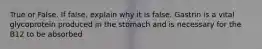 True or False. If false, explain why it is false. Gastrin is a vital glycoprotein produced in the stomach and is necessary for the B12 to be absorbed