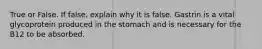 True or False. If false, explain why it is false. Gastrin is a vital glycoprotein produced in the stomach and is necessary for the B12 to be absorbed.