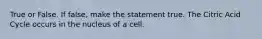 True or False. If false, make the statement true. The Citric Acid Cycle occurs in the nucleus of a cell.