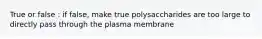 True or false : if false, make true polysaccharides are too large to directly pass through the plasma membrane