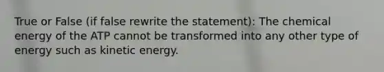 True or False (if false rewrite the statement): The chemical energy of the ATP cannot be transformed into any other type of energy such as kinetic energy.