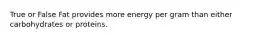 True or False Fat provides more energy per gram than either carbohydrates or proteins.