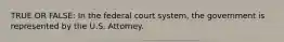 TRUE OR FALSE: In the federal court system, the government is represented by the U.S. Attorney.