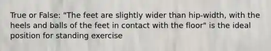 True or False: "The feet are slightly wider than hip-width, with the heels and balls of the feet in contact with the floor" is the ideal position for standing exercise