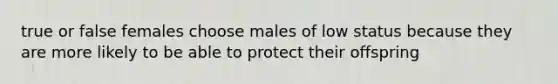 true or false females choose males of low status because they are more likely to be able to protect their offspring