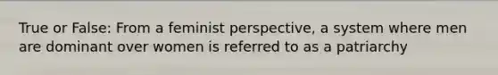 True or False: From a feminist perspective, a system where men are dominant over women is referred to as a patriarchy