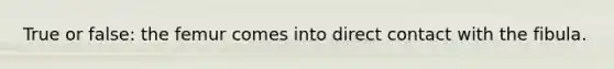 True or false: the femur comes into direct contact with the fibula.