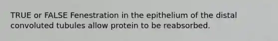 TRUE or FALSE Fenestration in the epithelium of the distal convoluted tubules allow protein to be reabsorbed.