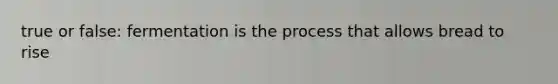 true or false: fermentation is the process that allows bread to rise