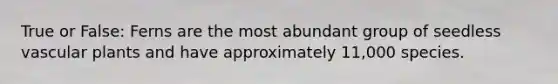 True or False: Ferns are the most abundant group of seedless vascular plants and have approximately 11,000 species.