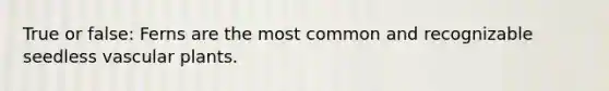 True or false: Ferns are the most common and recognizable seedless <a href='https://www.questionai.com/knowledge/kbaUXKuBoK-vascular-plants' class='anchor-knowledge'>vascular plants</a>.