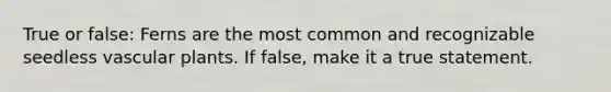 True or false: Ferns are the most common and recognizable seedless vascular plants. If false, make it a true statement.