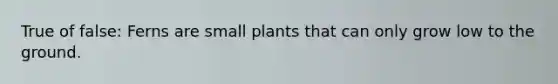 True of false: Ferns are small plants that can only grow low to the ground.