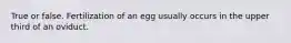 True or false. Fertilization of an egg usually occurs in the upper third of an oviduct.