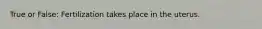 True or False: Fertilization takes place in the uterus.