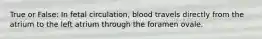 True or False: In fetal circulation, blood travels directly from the atrium to the left atrium through the foramen ovale.