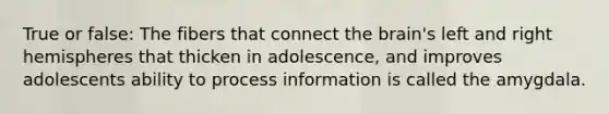 True or false: The fibers that connect the brain's left and right hemispheres that thicken in adolescence, and improves adolescents ability to process information is called the amygdala.