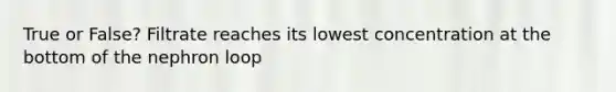 True or False? Filtrate reaches its lowest concentration at the bottom of the nephron loop