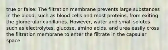 true or false: The filtration membrane prevents large substances in the blood, such as blood cells and most proteins, from exiting the glomerular capillaries. However, water and small solutes such as electrolytes, glucose, amino acids, and urea easily cross the filtration membrane to enter the filtrate in the capsular space