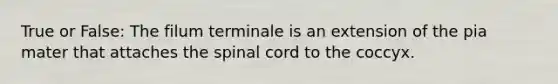 True or False: The filum terminale is an extension of the pia mater that attaches the spinal cord to the coccyx.