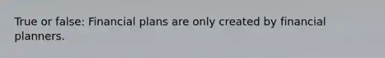 True or false: Financial plans are only created by financial planners.