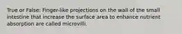 True or False: Finger-like projections on the wall of the small intestine that increase the surface area to enhance nutrient absorption are called microvilli.