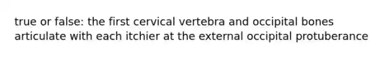 true or false: the first cervical vertebra and occipital bones articulate with each itchier at the external occipital protuberance