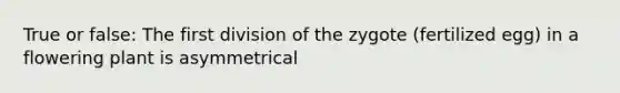 True or false: The first division of the zygote (fertilized egg) in a flowering plant is asymmetrical