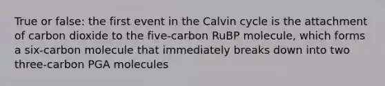 True or false: the first event in the Calvin cycle is the attachment of carbon dioxide to the five-carbon RuBP molecule, which forms a six-carbon molecule that immediately breaks down into two three-carbon PGA molecules