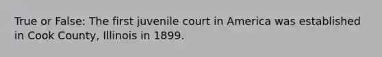 True or False: The first juvenile court in America was established in Cook County, Illinois in 1899.