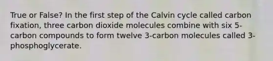 True or False? In the first step of the Calvin cycle called carbon fixation, three carbon dioxide molecules combine with six 5-carbon compounds to form twelve 3-carbon molecules called 3-phosphoglycerate.