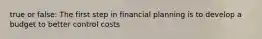 true or false: The first step in financial planning is to develop a budget to better control costs