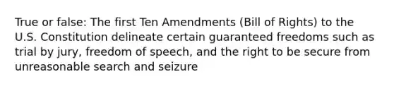 True or false: The first Ten Amendments (Bill of Rights) to the U.S. Constitution delineate certain guaranteed freedoms such as trial by jury, freedom of speech, and the right to be secure from unreasonable search and seizure