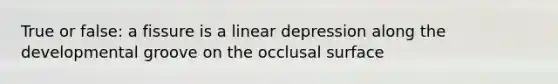 True or false: a fissure is a linear depression along the developmental groove on the occlusal surface