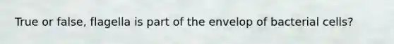 True or false, flagella is part of the envelop of bacterial cells?