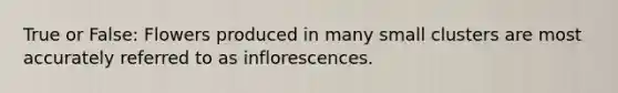 True or False: Flowers produced in many small clusters are most accurately referred to as inflorescences.