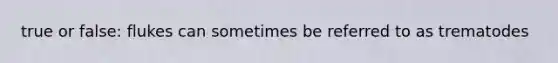 true or false: flukes can sometimes be referred to as trematodes