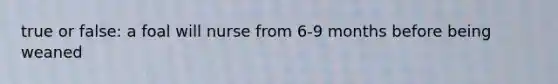 true or false: a foal will nurse from 6-9 months before being weaned