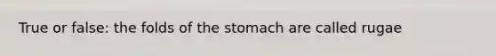 True or false: the folds of the stomach are called rugae