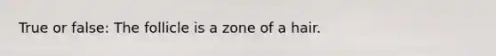 True or false: The follicle is a zone of a hair.