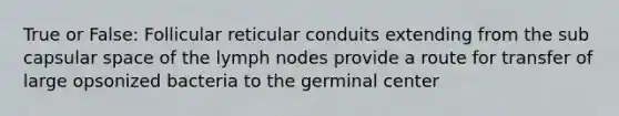 True or False: Follicular reticular conduits extending from the sub capsular space of the lymph nodes provide a route for transfer of large opsonized bacteria to the germinal center