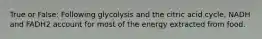 True or False: Following glycolysis and the citric acid cycle, NADH and FADH2 account for most of the energy extracted from food.