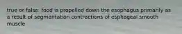true or false: food is propelled down the esophagus primarily as a result of segmentation contractions of esphageal smooth muscle