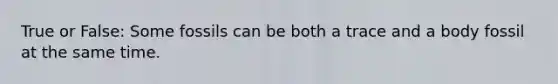 True or False: Some fossils can be both a trace and a body fossil at the same time.