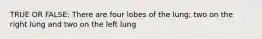 TRUE OR FALSE: There are four lobes of the lung; two on the right lung and two on the left lung