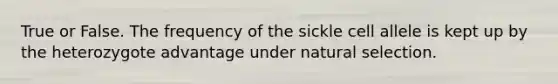 True or False. The frequency of the sickle cell allele is kept up by the heterozygote advantage under natural selection.