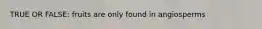 TRUE OR FALSE: fruits are only found in angiosperms