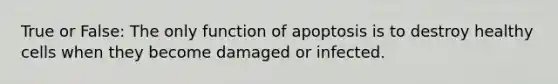 True or False: The only function of apoptosis is to destroy healthy cells when they become damaged or infected.